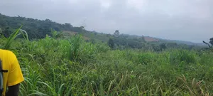 Farm Land for Sale in Aburi (1.5 Acres)