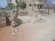 1 Bedroom Apartment for Rent in Adenta - 4