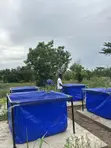 Brand New Tarpaulin Fish Pond - 1