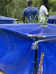 Brand New Tarpaulin Fish Pond - 2