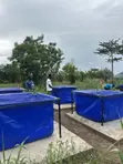 Brand New Tarpaulin Fish Pond - 3