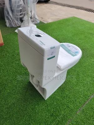 Combined 1-Piece Water Closet | Dual Flush S-Trap & P-Trap