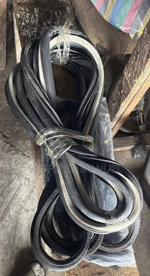 Toyota Camry Door Rubber Seal (2006-2011) - 1
