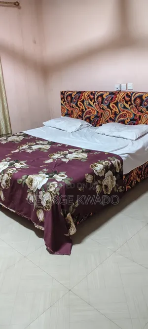 Furnished 1 Bedroom Apartment in Lashibi