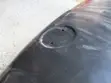 BMW 5 Series E34 Sedan Bonnet (Used) - 2