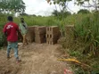 Residential Land for Sale in Adwumakase Kese - 1