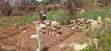 Residential Land for Sale in Adwumakase Kese - 5