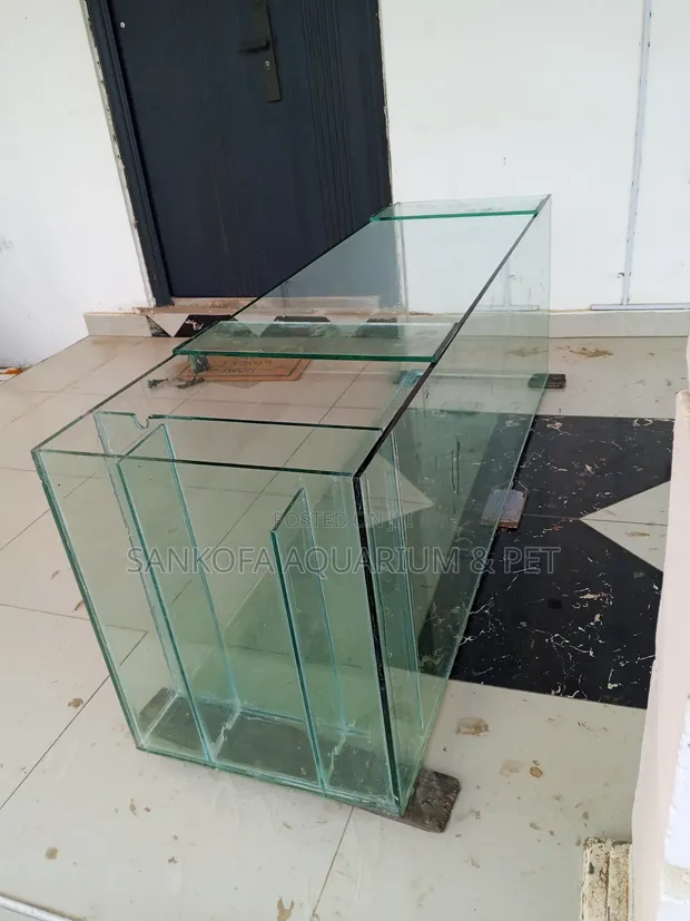 6 Feet Custom Aquarium Fish Tank - 1