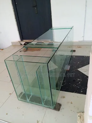 6 Feet Custom Aquarium Fish Tank