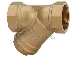 2'' Y-Type Brass Strainer