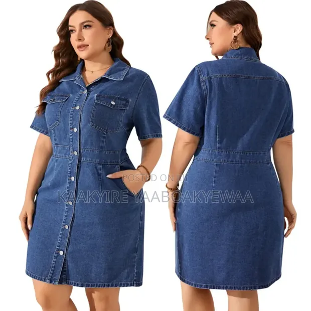 Ladies Jeans Dress - 1