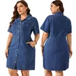 Ladies Jeans Dress - 1