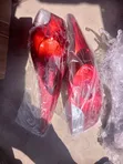 Hyundai Elantra 2012 Tail Light - 1