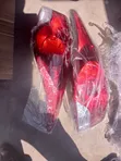Hyundai Elantra 2012 Tail Light - 2