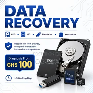 Professional Data Recovery Services