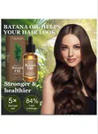 Batana Hair Growth Oil - 1