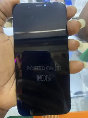 iPhone 12 / 12 Pro Screen