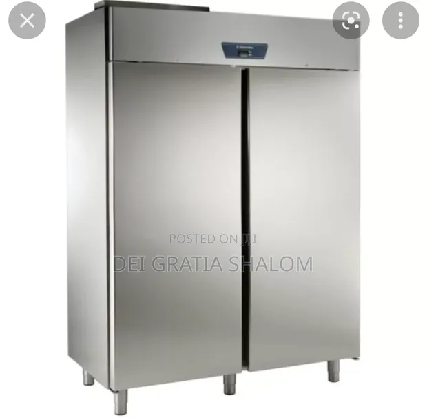 Tecno Freeze Italian Industrial Double Door Upright Freezer - 1