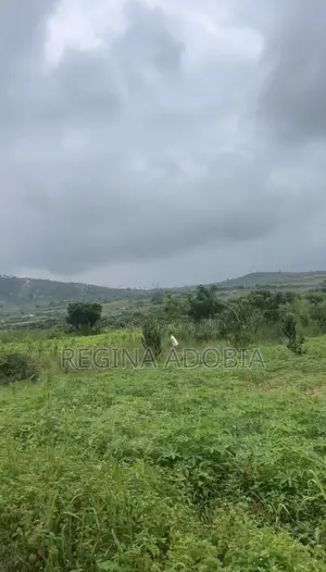 One Plot of Land for Sale in Opeikuma