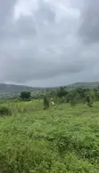 One Plot of Land for Sale in Opeikuma - 1