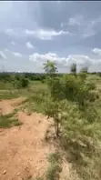 One Plot of Land for Sale in Opeikuma - 2