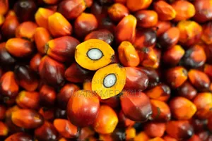 Ghanaian Crude Palm Oil (Dzomi)