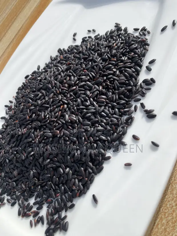 Natural Whole Grain Black Rice - 1