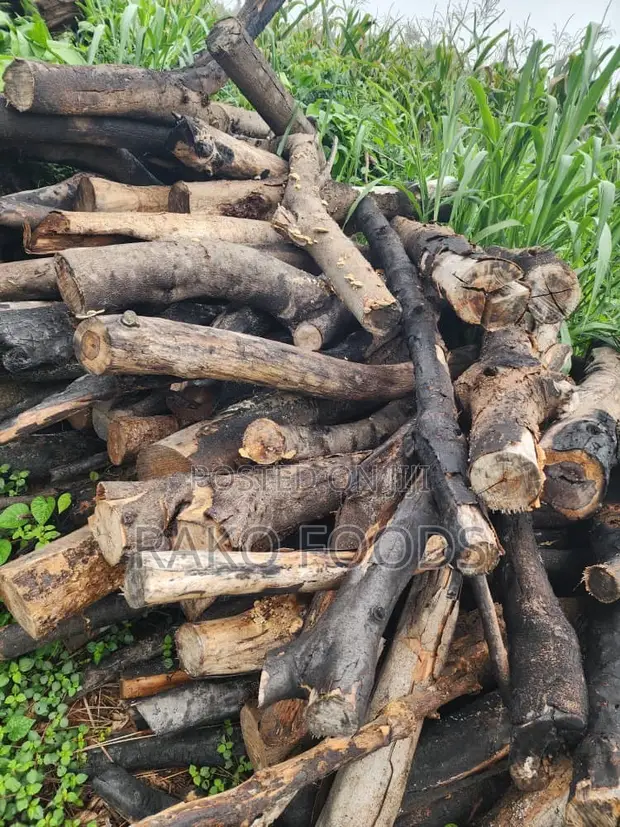 Wood for Charcoal or Firewood - 1