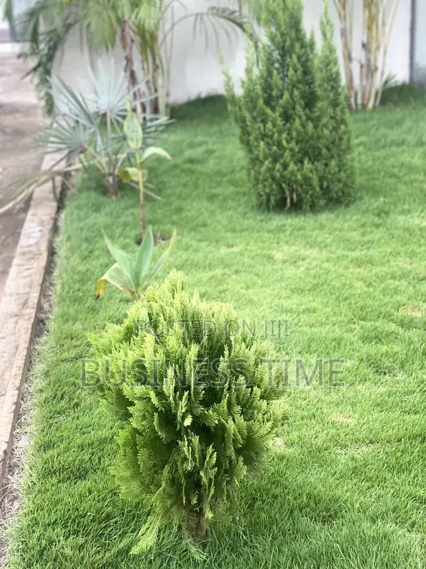 Garden and Landscaping Services - 1