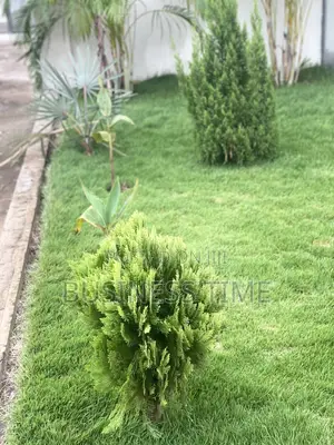 Garden and Landscaping Services