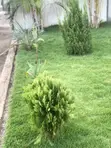 Garden and Landscaping Services - 1