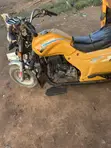 Apsonic AP150ZK 2026 Yellow - 3