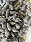 Pona Yam Heads (Mpoh) - 1