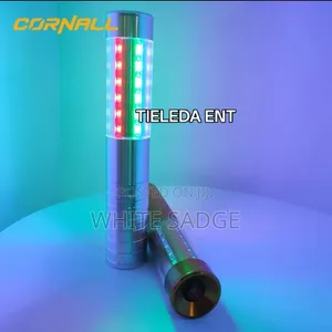 Champagne LED Lights