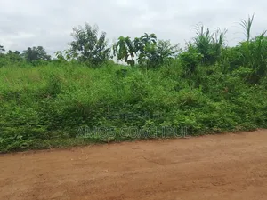 Roadside Plot for Sale, Temakwataa, Sunyani