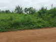 Roadside Plot for Sale, Temakwataa, Sunyani - 1