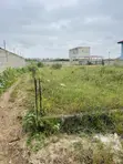 One Plot of Land for Sale in Borteyman - 2