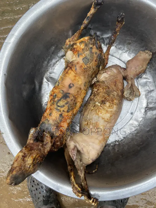 Fresh and Smoked Rabbit and Chicken Meat - 1