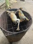 Fresh and Smoked Rabbit and Chicken Meat - 3
