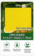 Yellow Blue Sticky Insect Traps - Waterproof - 4