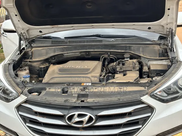 Hyundai Santa Fe 2016 White - 1