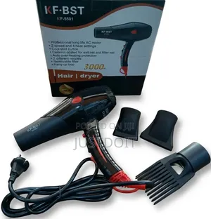 KF BST 3000W Professional Hair Dryer