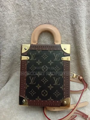 Louis Vuitton Monogram Camera Box Tote Bag