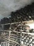 Original Catalytic Converters - Toyota RAV4 - 1