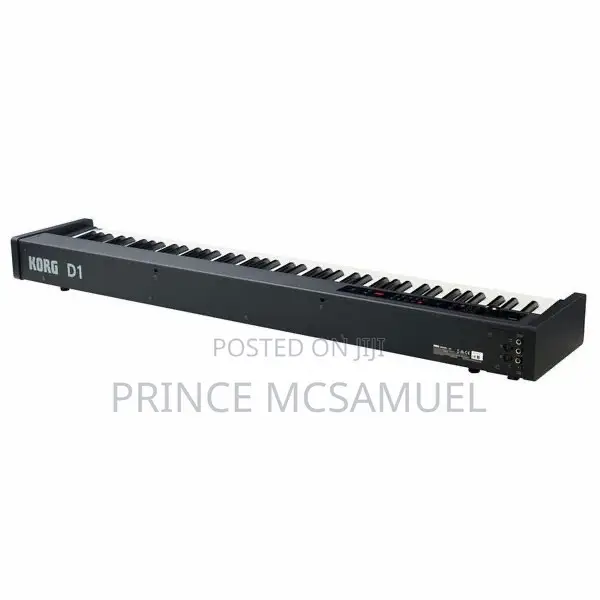 Korg D1 Professional Digital Piano - 1