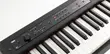Korg D1 Professional Digital Piano - 5