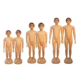 Male and Female Mannequins - 3