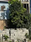 Half Plot for Sale at Ashaley Botwe, Behind Nanakrom Melcom - 4