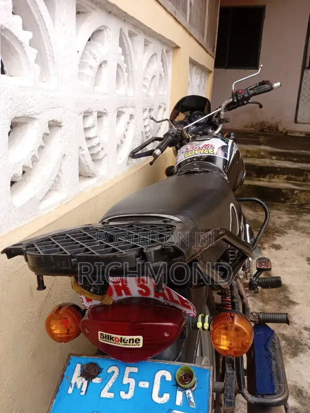 Bajaj Avenger 150 Street 2025 Silver - 1