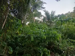 8 Acres of Land for Sale in Kwahu Afram Plains South